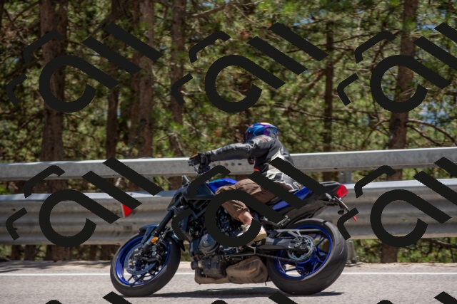 202506281411-DSC_5823_c4_