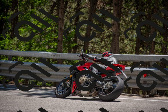 202506281416-DSC_5827_c4_