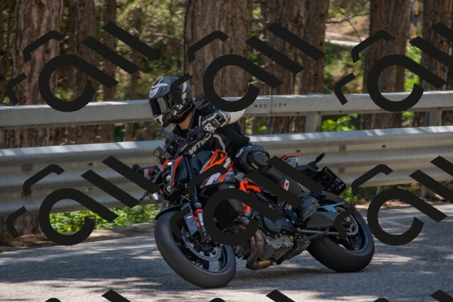 202506281416-DSC_5828_c4_