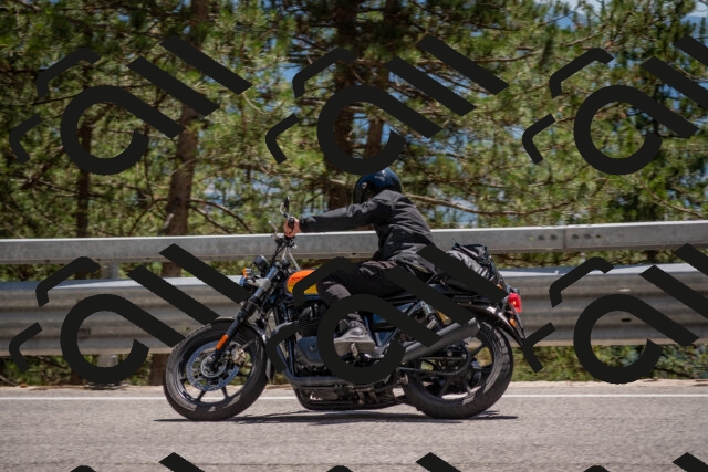 202506281418-DSC_5836_c4_