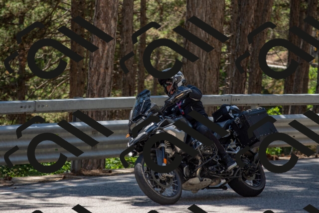 202506281419-DSC_5838_c4_