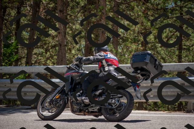 202506281419-DSC_5852_c4_