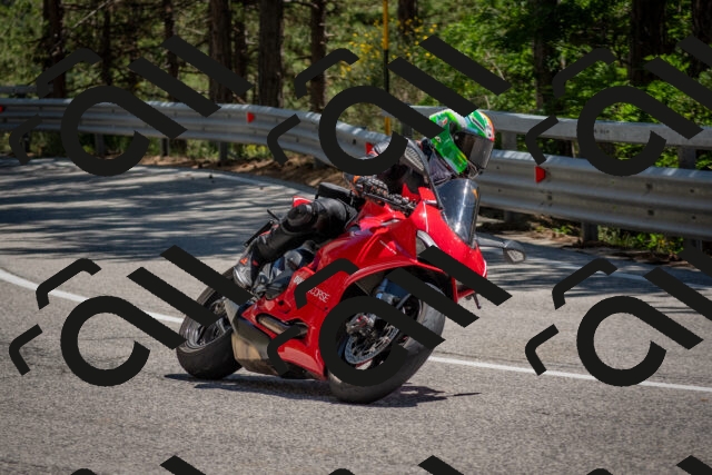 202506281420-DSC_5858_c4_