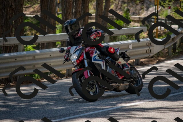 202506281425-DSC_5878_c4_