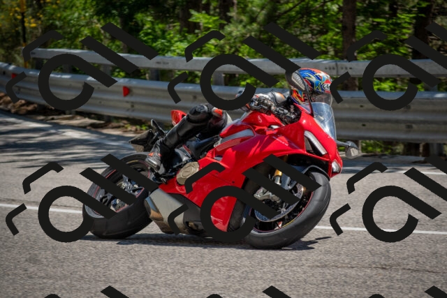 202506281431-DSC_5891_c4_