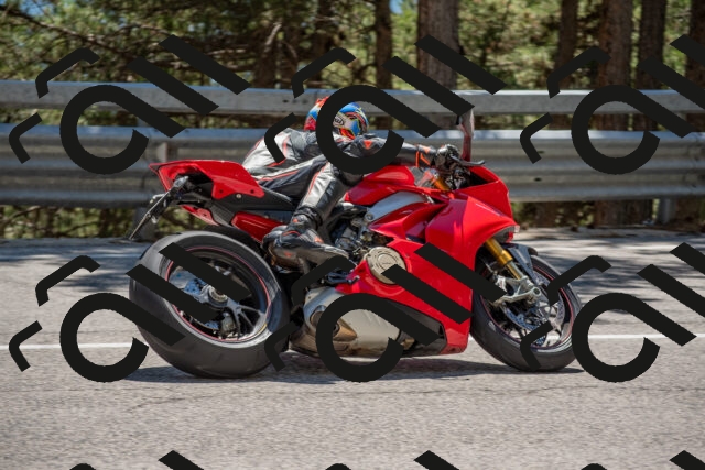 202506281431-DSC_5892_c4_