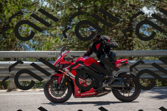 202506281433-DSC_5894_c4_