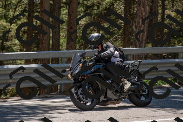 202506281433-DSC_5896_c4_