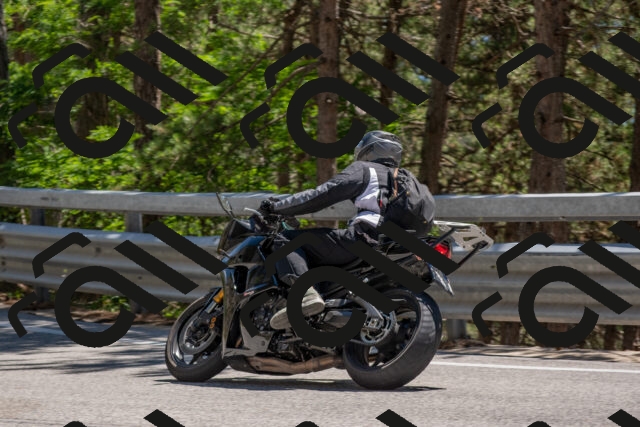 202506281433-DSC_5898_c4_