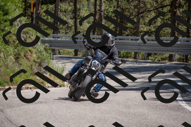 202506281435-DSC_5900_c4_