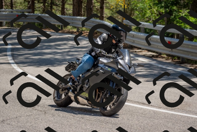 202506281436-DSC_5905_c4_