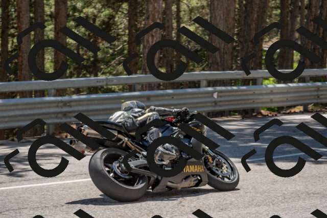 202506281437-DSC_5911_c4_