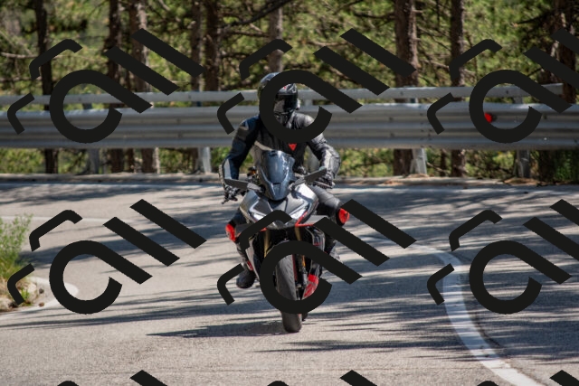 202506281443-DSC_5917_c4_