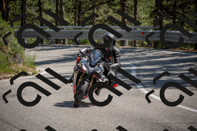 202506281443-DSC_5918_c4_