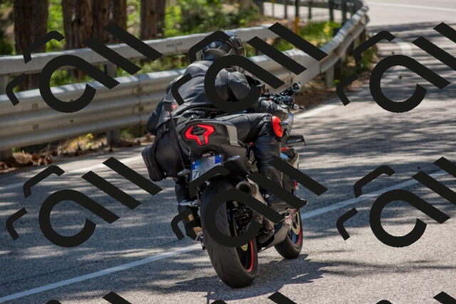 202506281443-DSC_5921_c4_