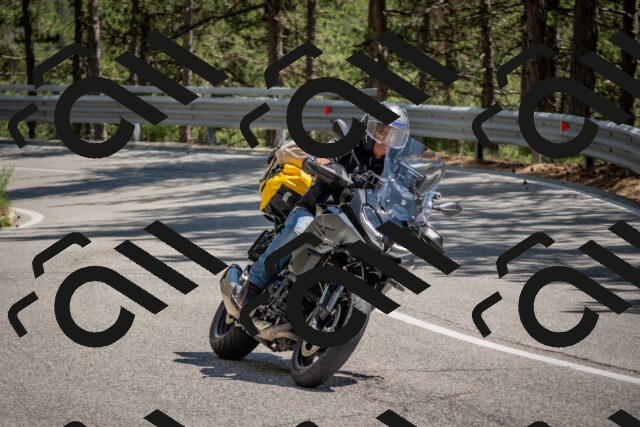 202506281447-DSC_5932_c4_