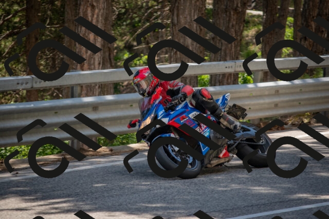 202506281448-DSC_5936_c4_