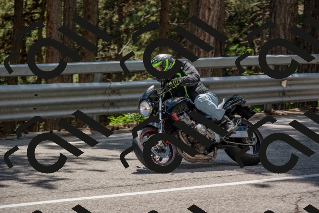 202506281449-DSC_5940_c4_