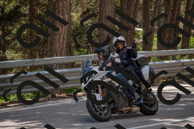 202506281455-DSC_5955_c4_