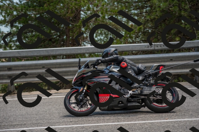 202506281502-DSC_5963_c4_