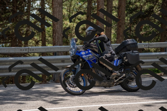 202506281504-DSC_5966_c4_