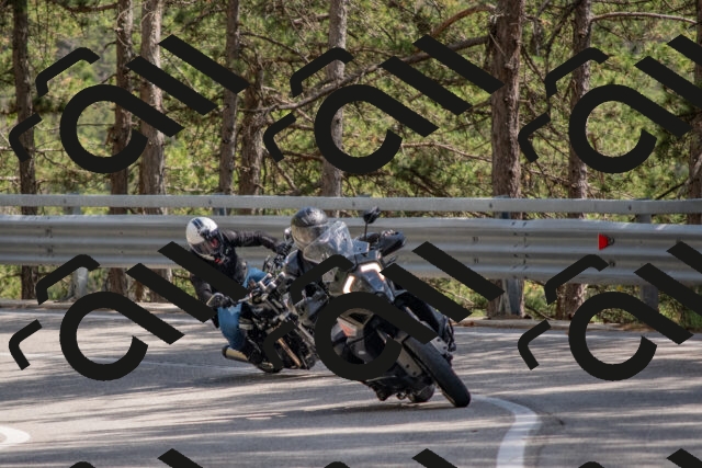 202506281505-DSC_5978_c4_