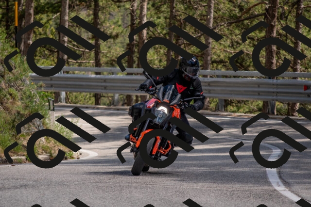 202506281505-DSC_5981_c4_