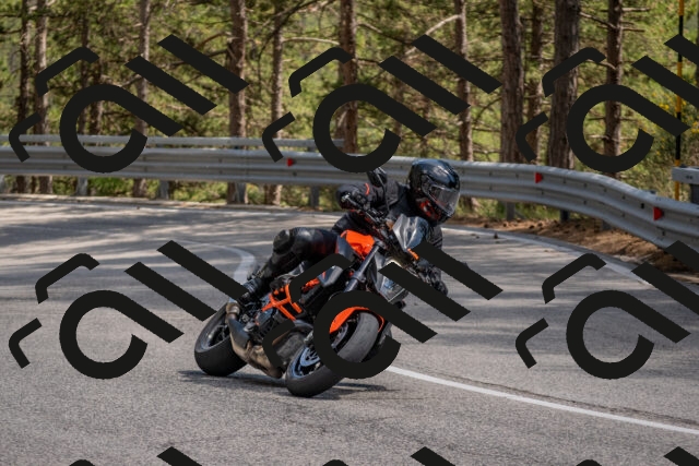 202506281505-DSC_5982_c4_