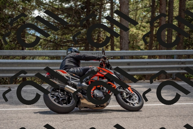 202506281505-DSC_5984_c4_