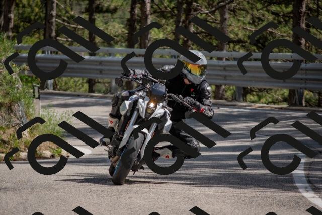 202506281506-DSC_5986_c4_