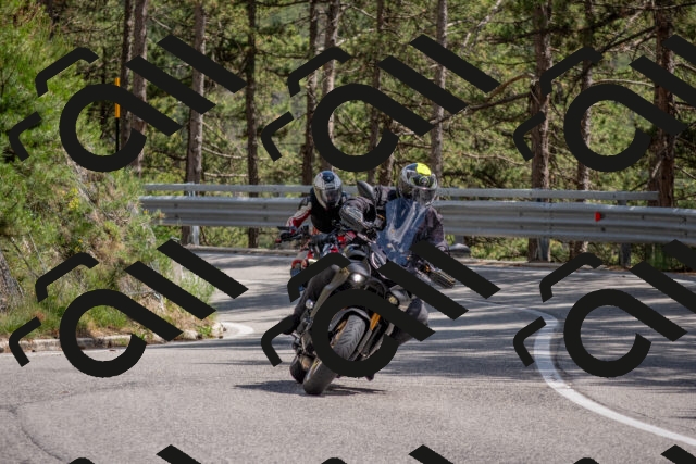 202506281506-DSC_5997_c4_