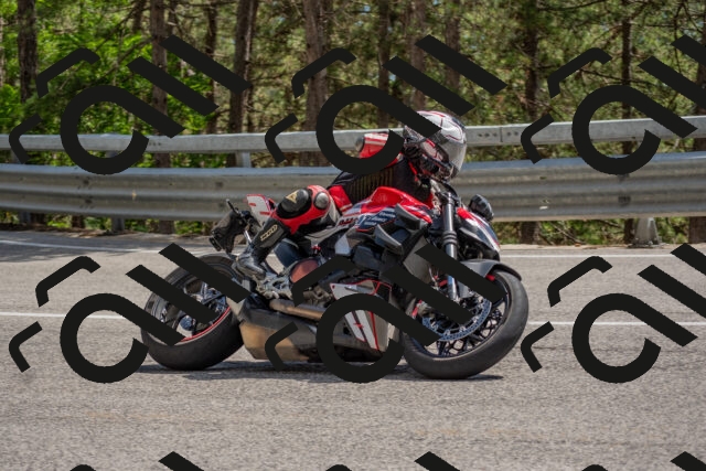 202506281506-DSC_6001_c4_