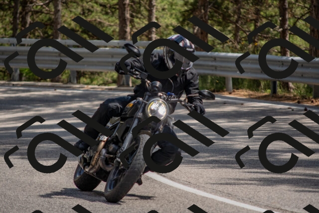 202506281506-DSC_6003_c4_