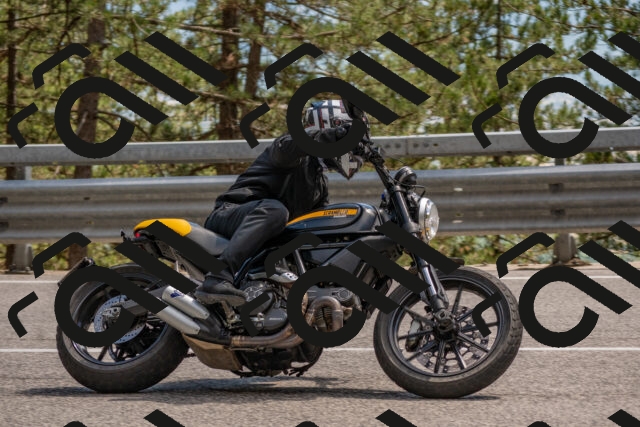 202506281506-DSC_6005_c4_