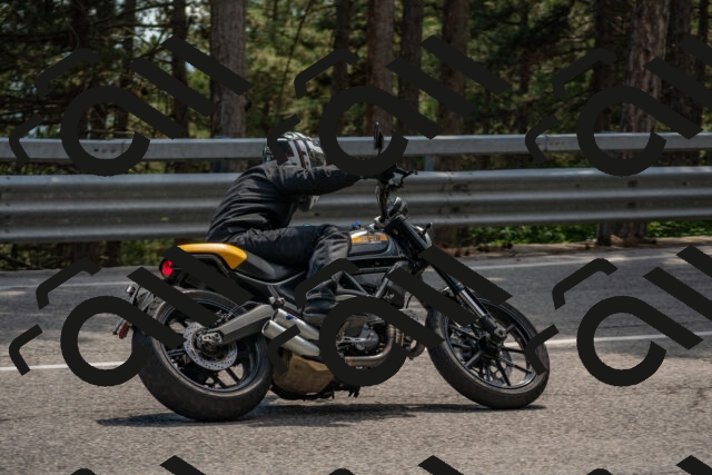 202506281506-DSC_6006_c4_