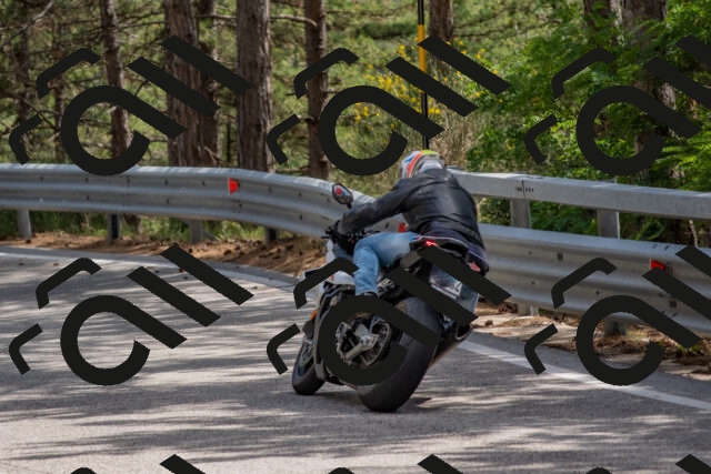 202506281508-DSC_6013_c4_