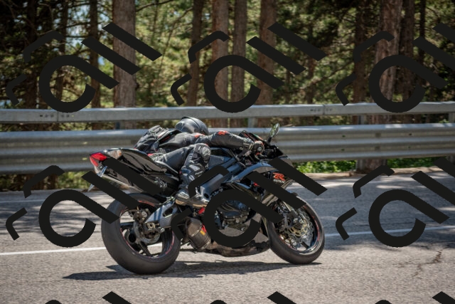 202506281515-DSC_6030_c4_