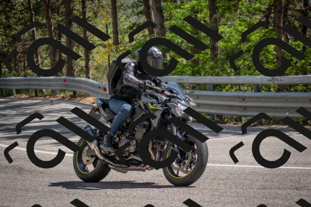 202506281516-DSC_6031_c4_