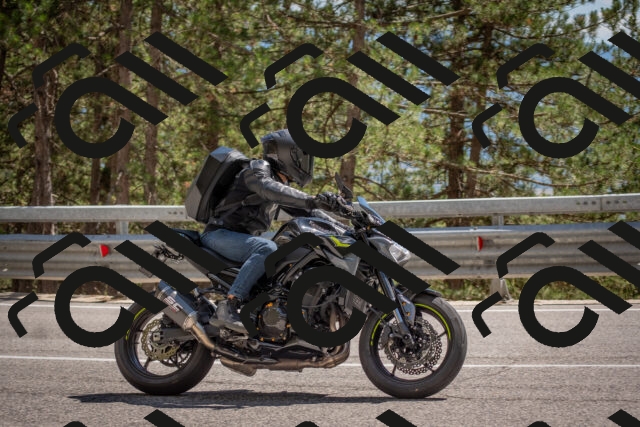 202506281516-DSC_6032_c4_