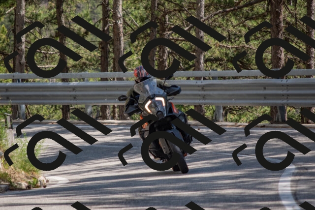 202506281516-DSC_6034_c4_