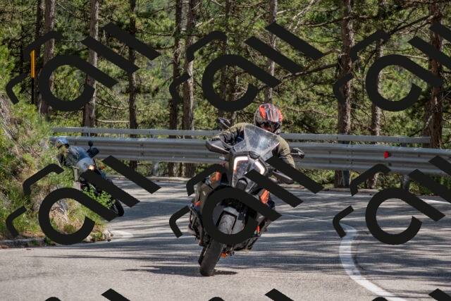 202506281516-DSC_6035_c4_