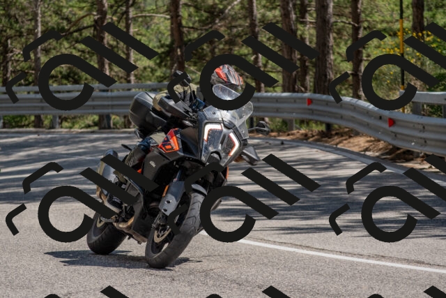 202506281516-DSC_6036_c4_