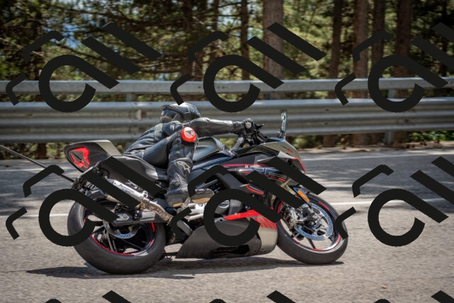 202506281518-DSC_6045_c4_