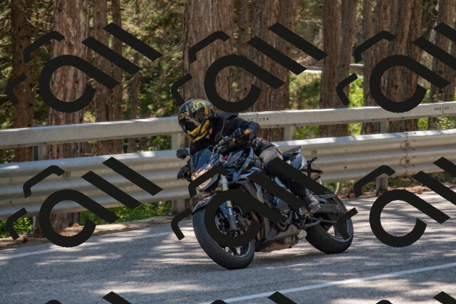 202506281524-DSC_6050_c4_