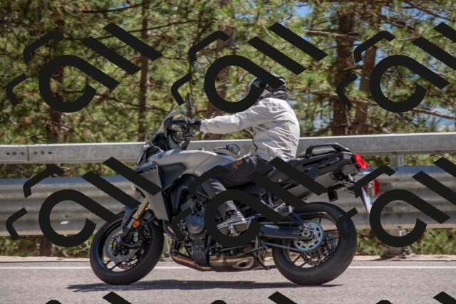 202506281524-DSC_6062_c4_