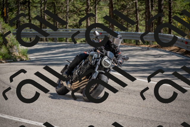 202506281525-DSC_6064_c4_