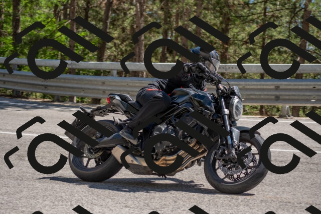 202506281525-DSC_6065_c4_