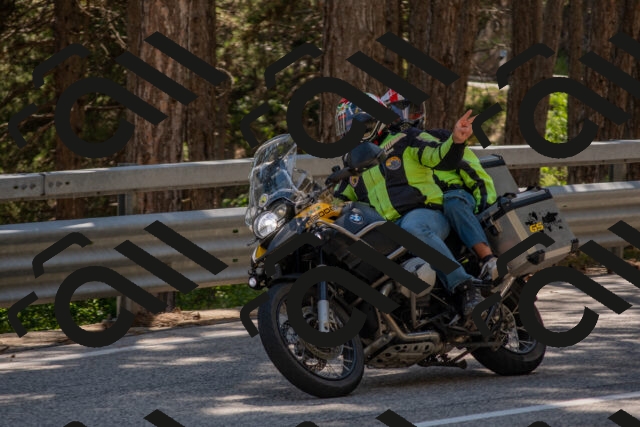 202506281525-DSC_6073_c4_