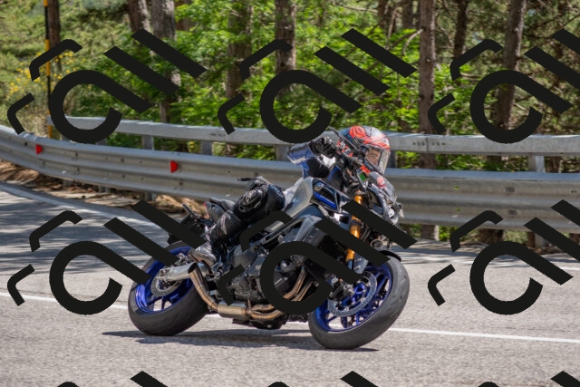 202506281525-DSC_6080_c4_