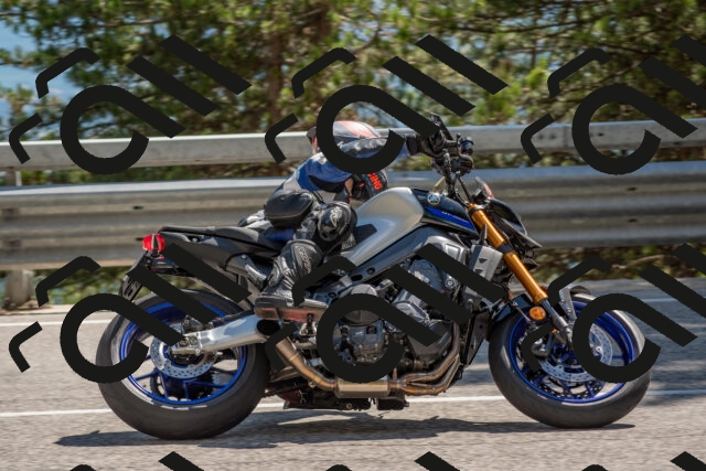 202506281525-DSC_6081_c4_